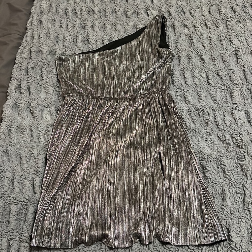 Express Dress - Picture 2 of 4